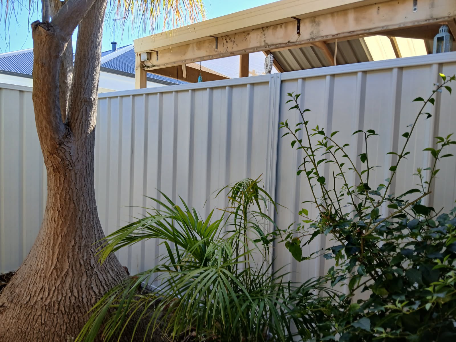 Light Colorbond boundary fence installed behind a landscaped garden