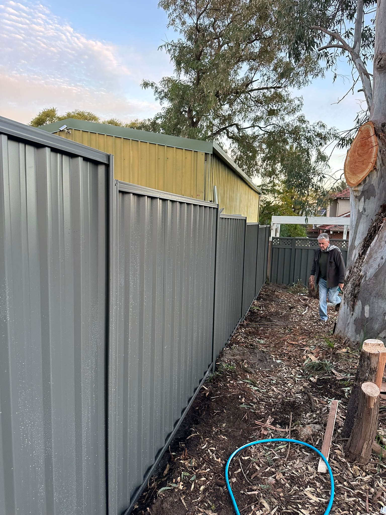 Long grey Colorbond boundary fence beside established trees