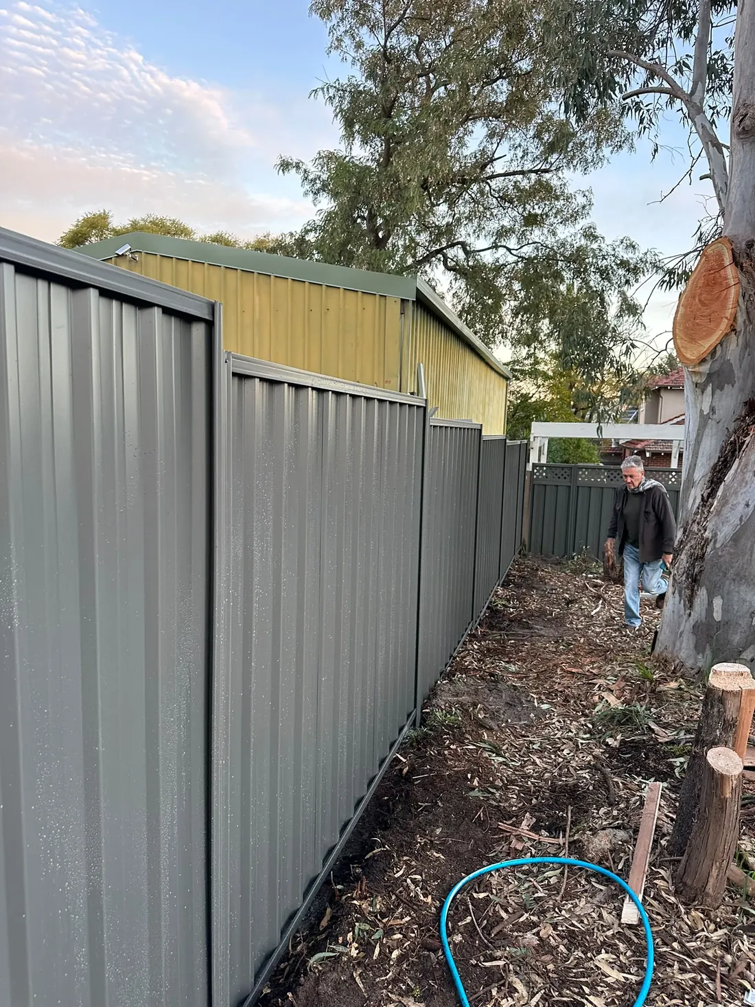 Long grey Colorbond boundary fence beside established trees