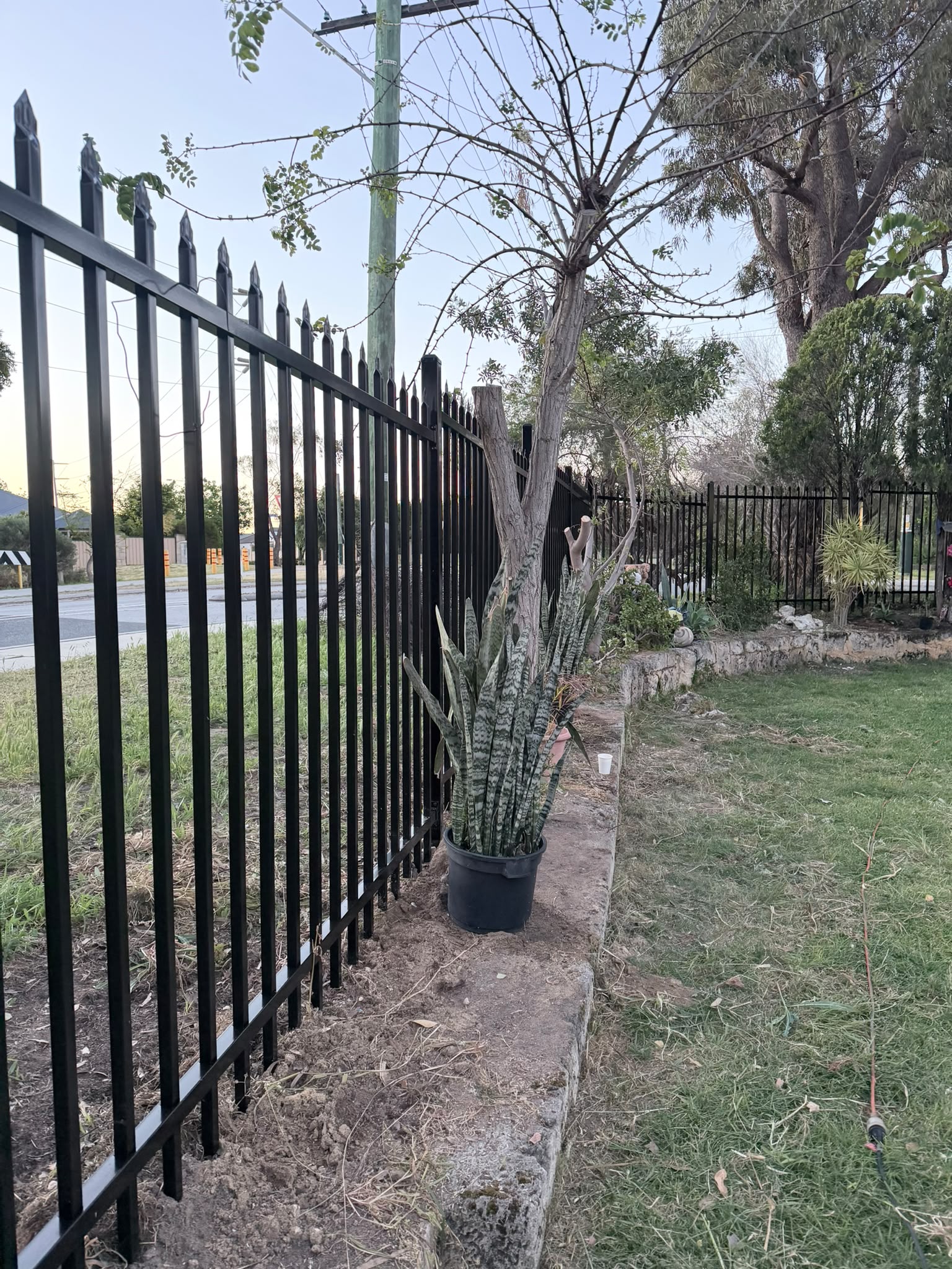 New Garrison security fencing along an established garden boundary in Wanneroo